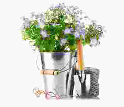 flower4