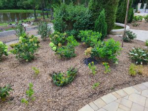 designed planting