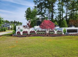 Landscape Design