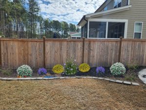 landscape design