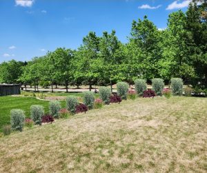 Landscape design