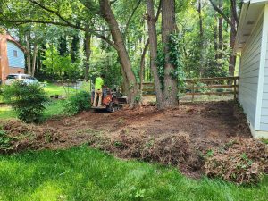 brush clearing-grading
