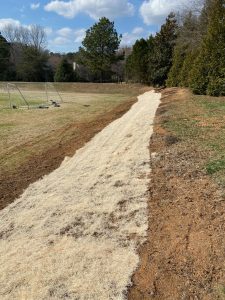 grading overseeding