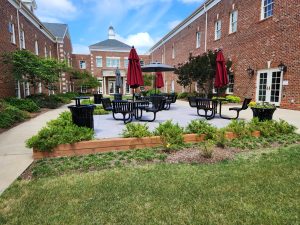 outdoor living-plantings