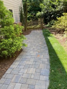 Tree Planting Company Raleigh