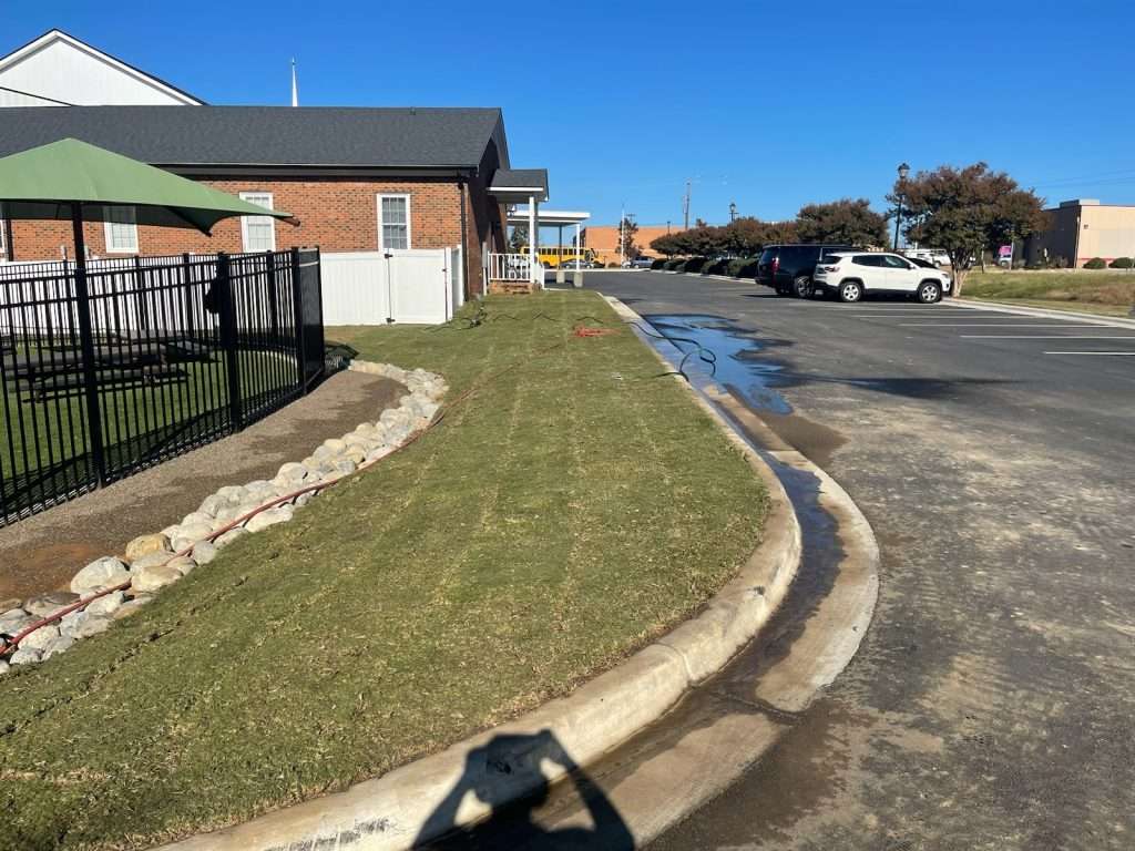 Bermuda Sod