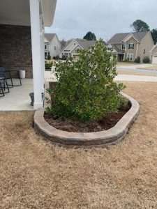 garden bed retaining wall