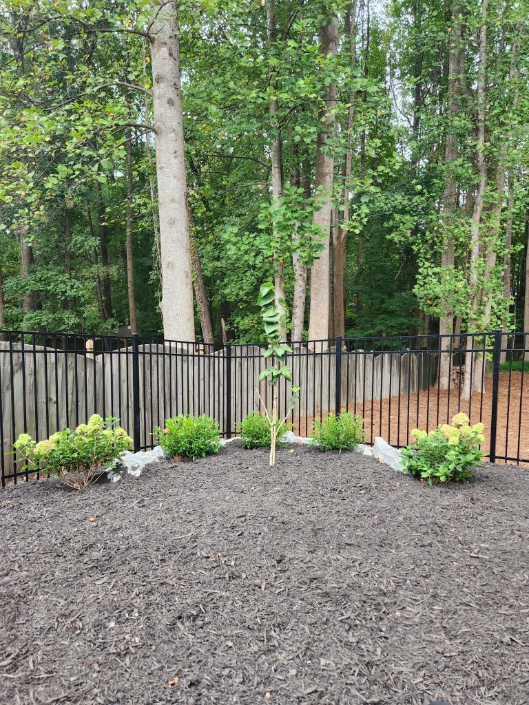 designed planting