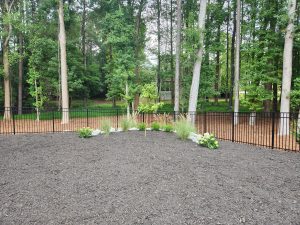 designed planting