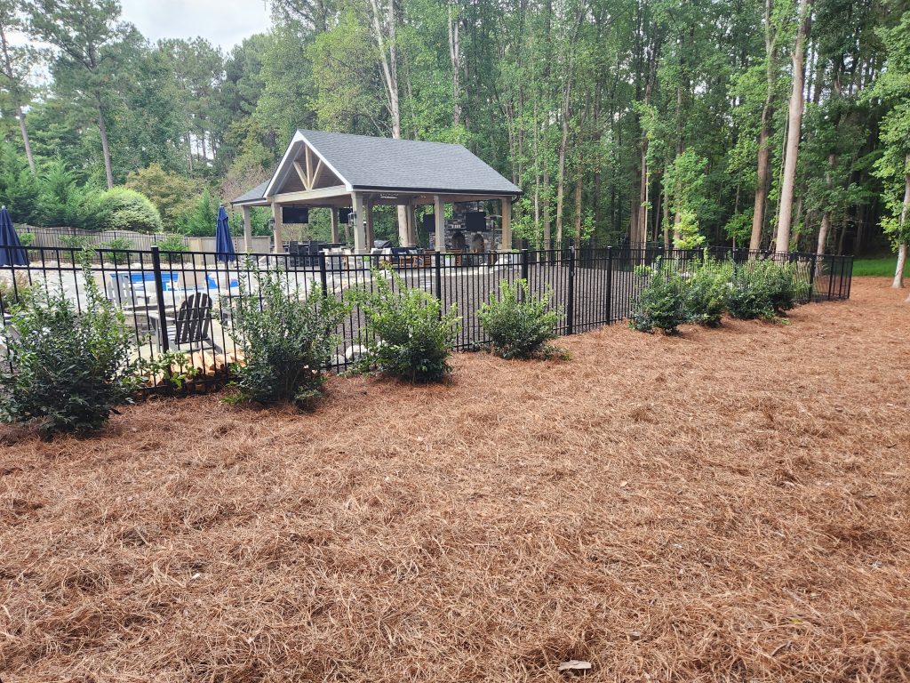 designed planting