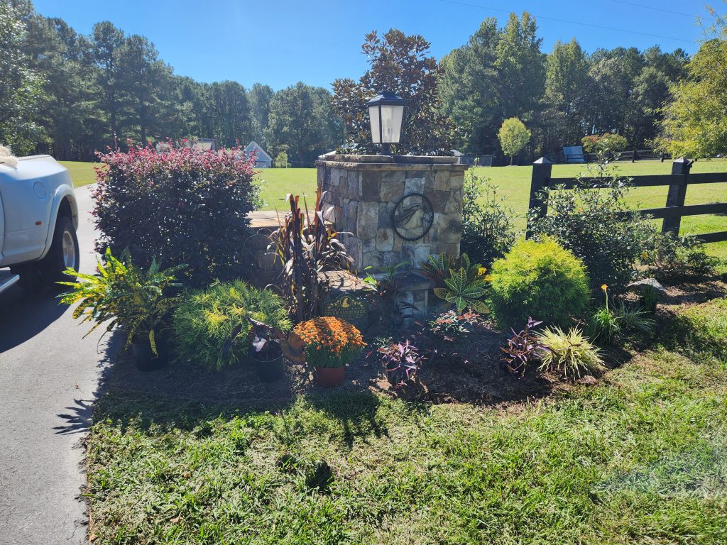 designed planting