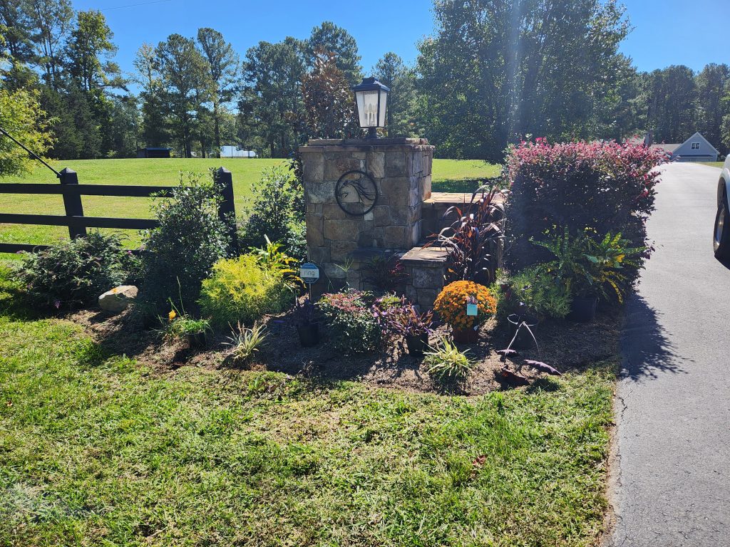designed planting